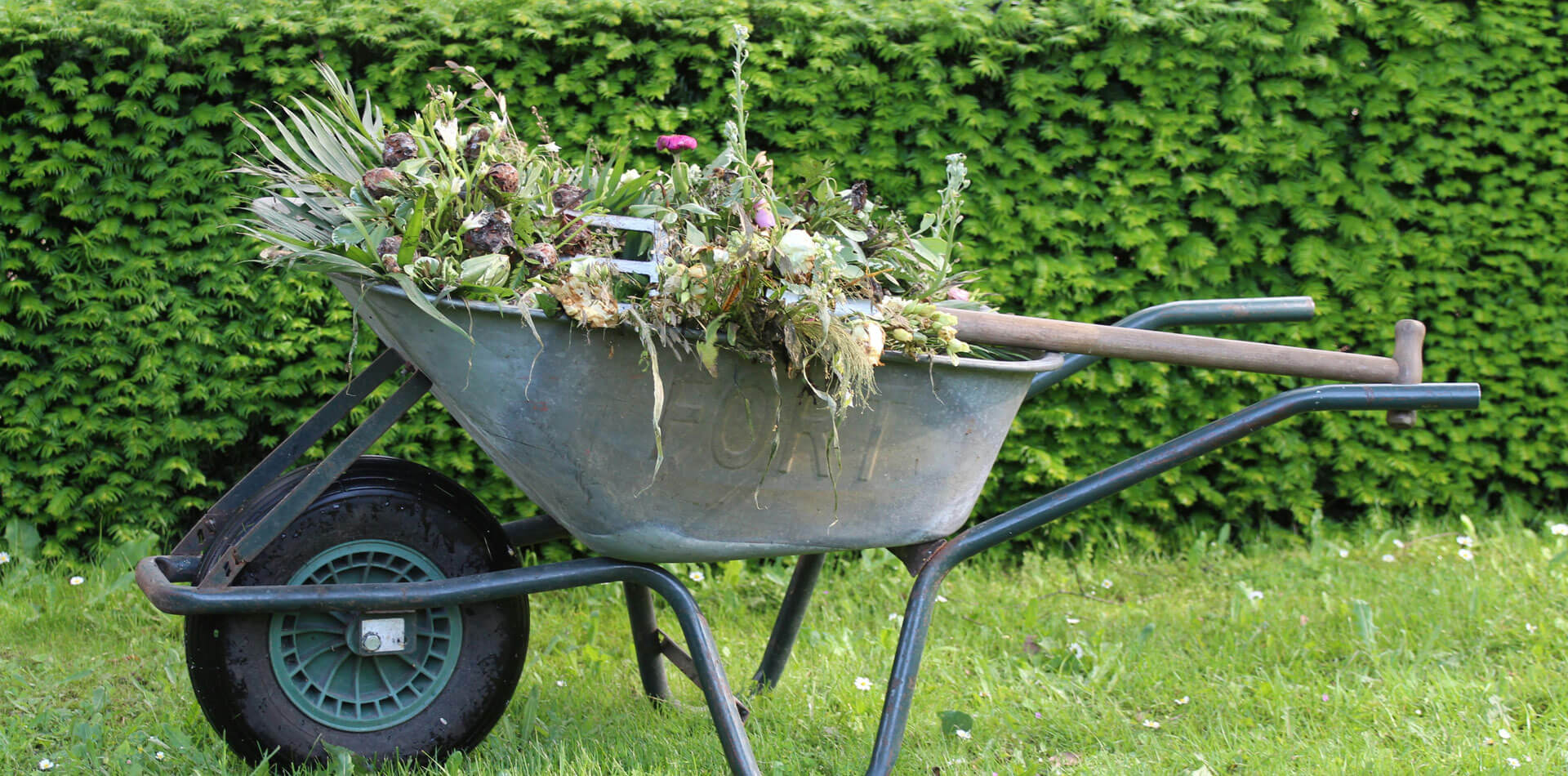 Wir kümmern uns um Ihren Garten und Ihre Landschaft